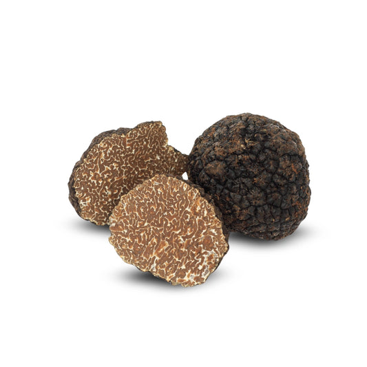 Schwarzer Herbsttrüffel (Tuber uncinatum)