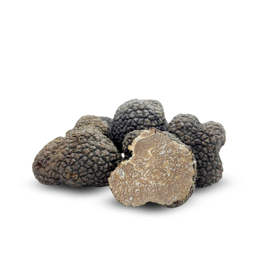 Sommer-Schwarzer Trüffel (Tuber aestivum)