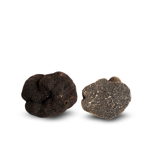 Winter Schwarzer Trüffel (Tuber Melanosporum)